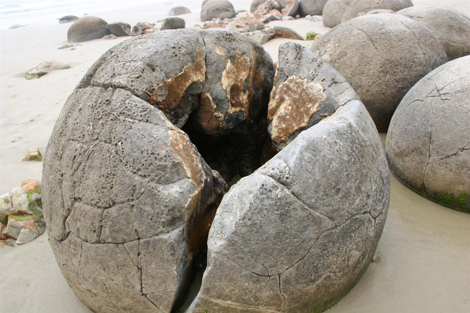 Moeraki boulder