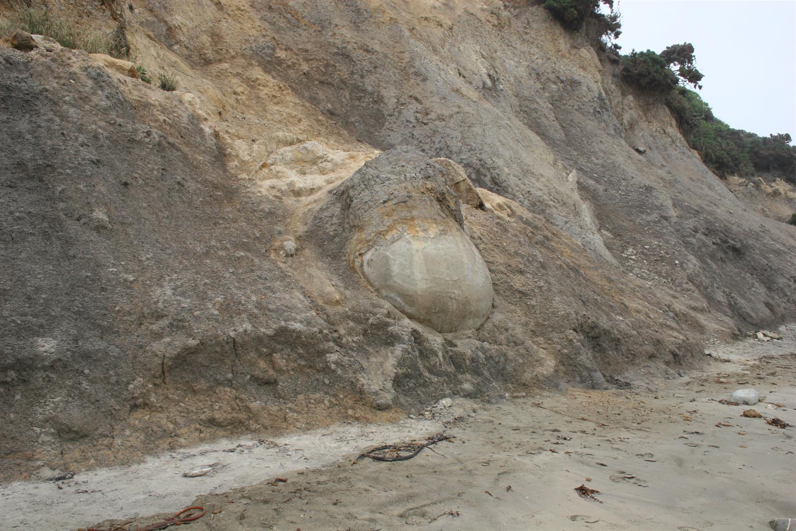 Moeraki beach with boulders