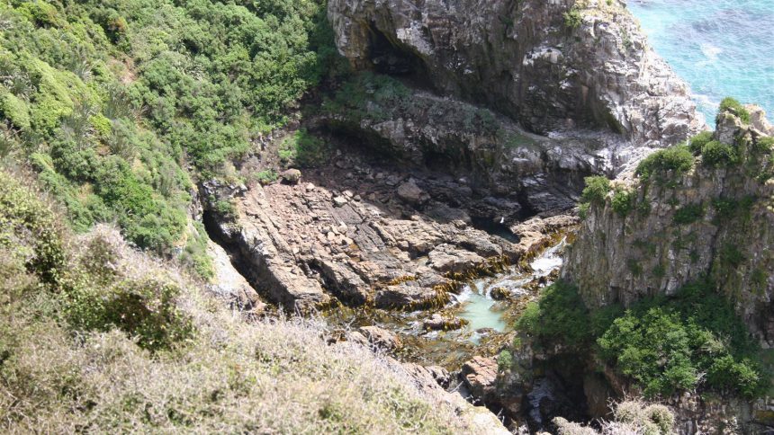 Path to Nugget Point