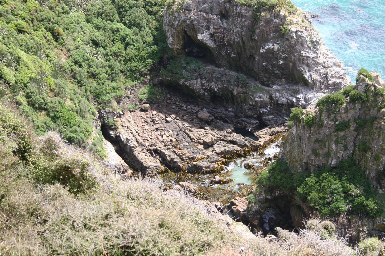 Path to Nugget Point