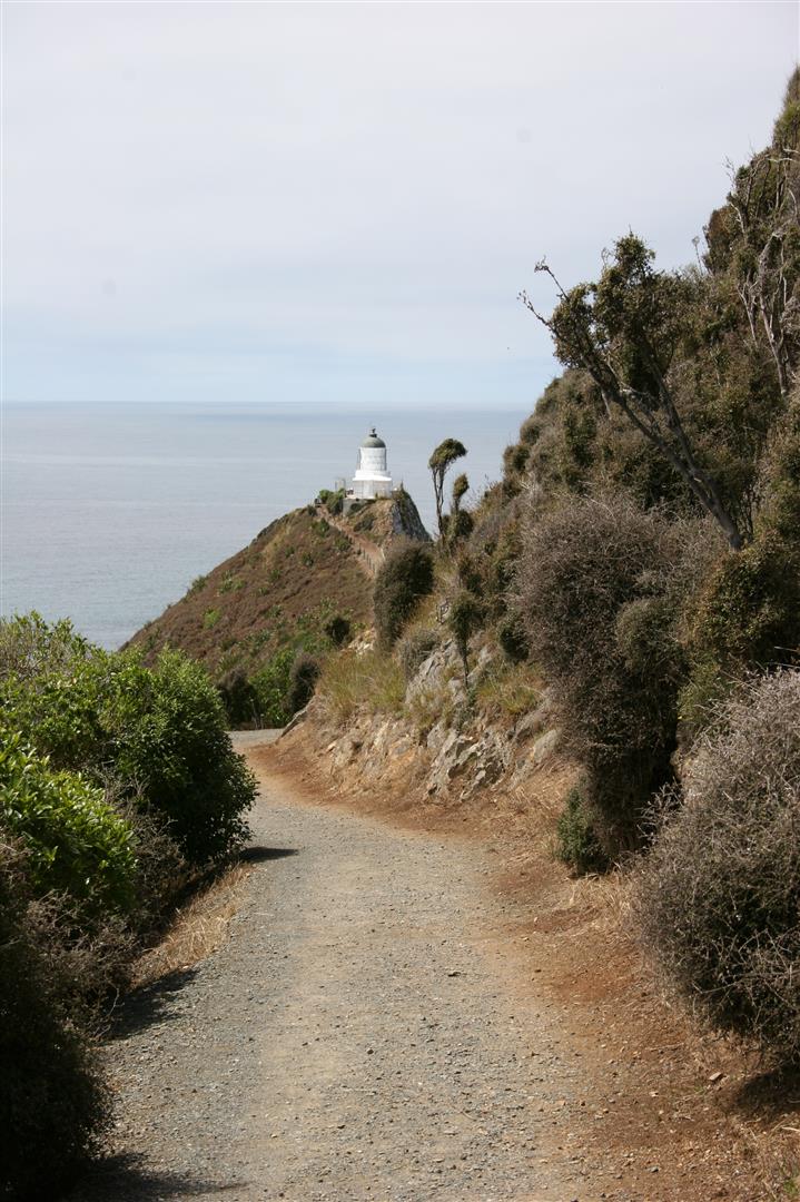 Path to Nugget point