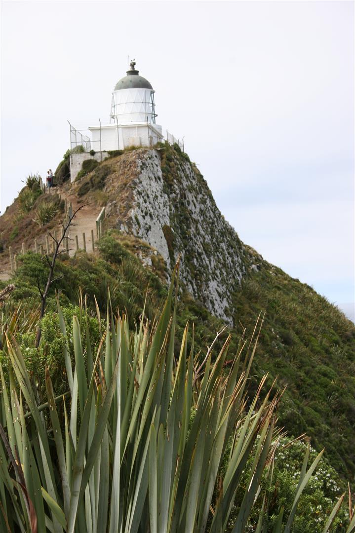 Nugget Point