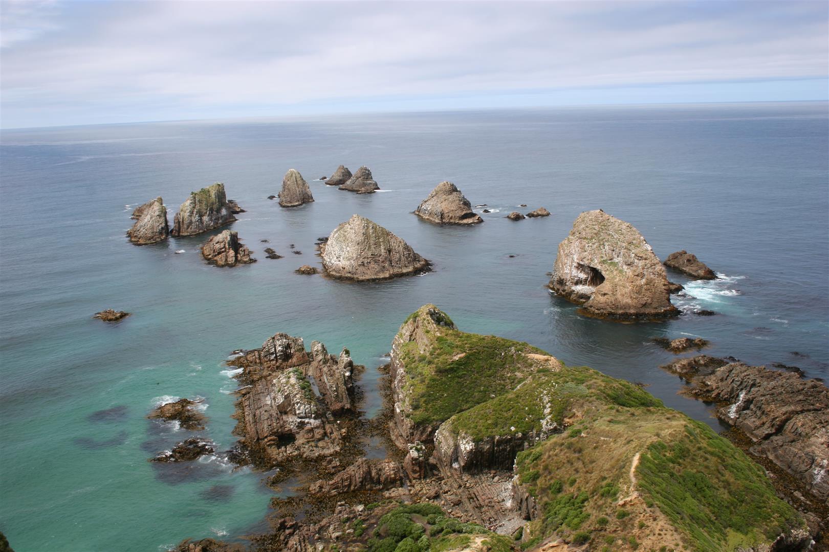 View from Nugget Point