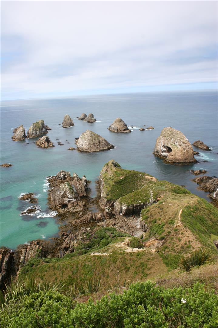 View from Nugget Point