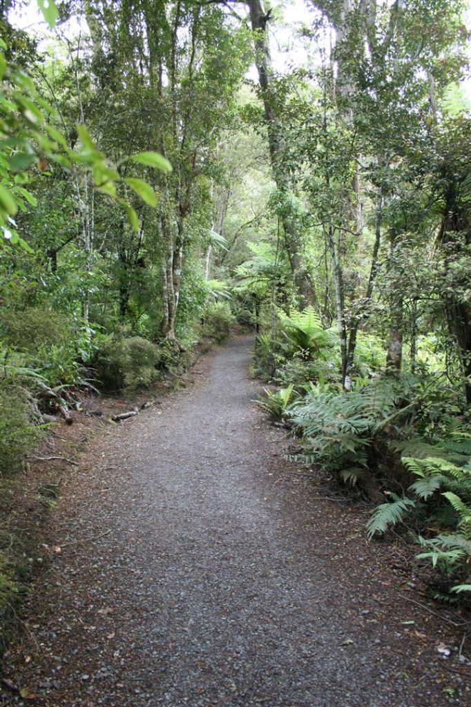 Path to Purakaunui Falls