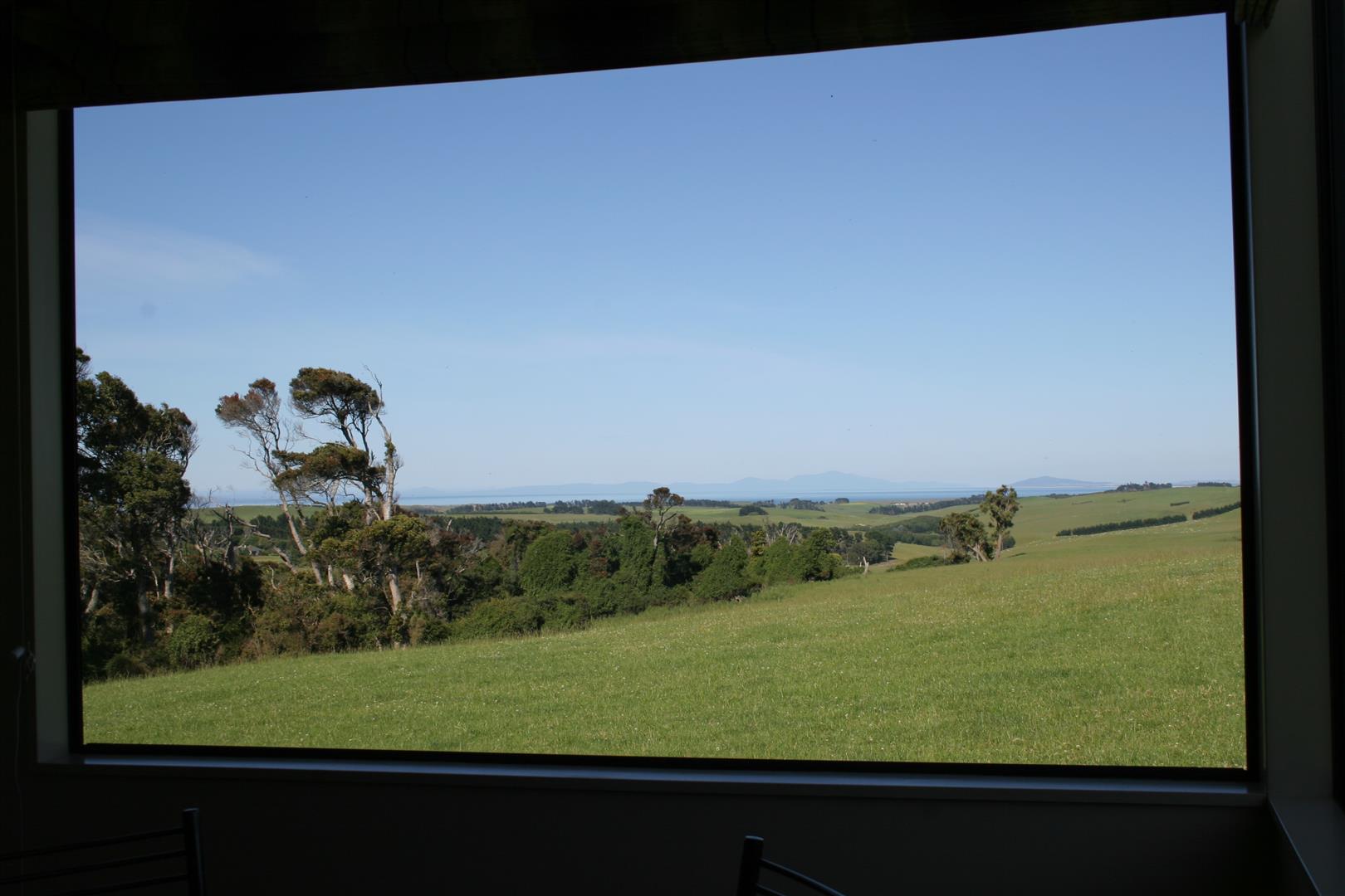 View from the window