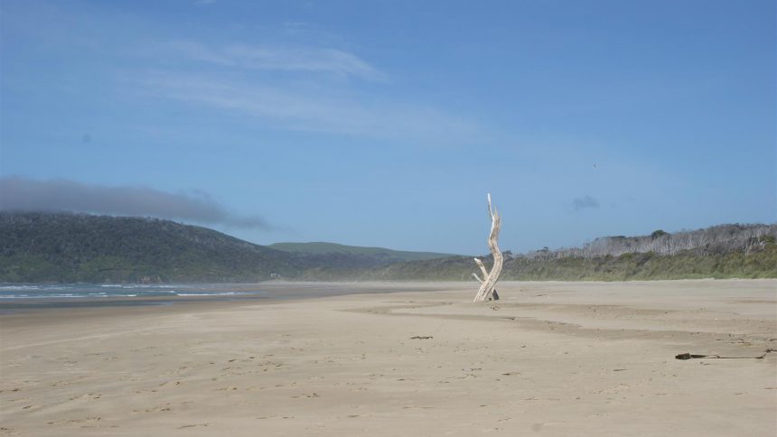 Beach at Cathedral Caves