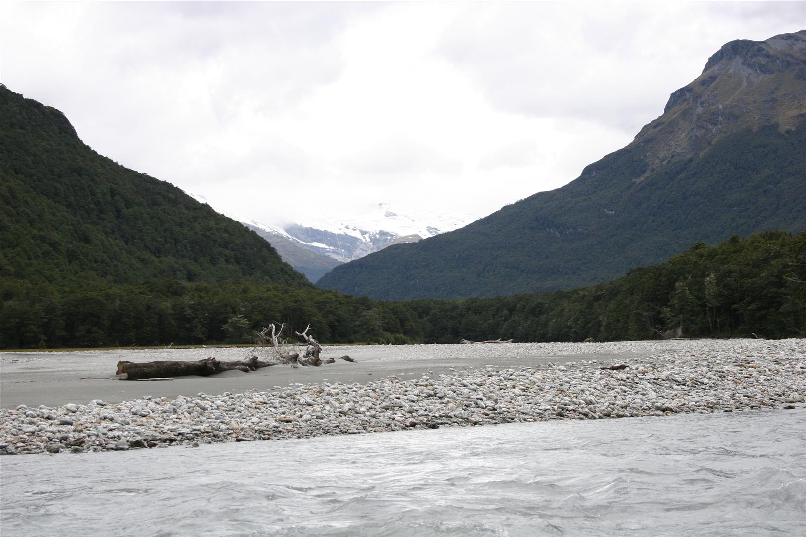 Dart river safari