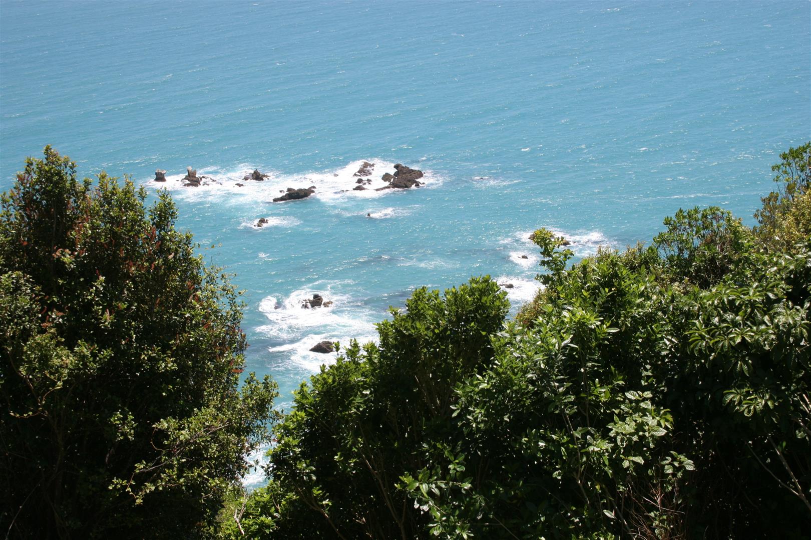 Coast near Haast