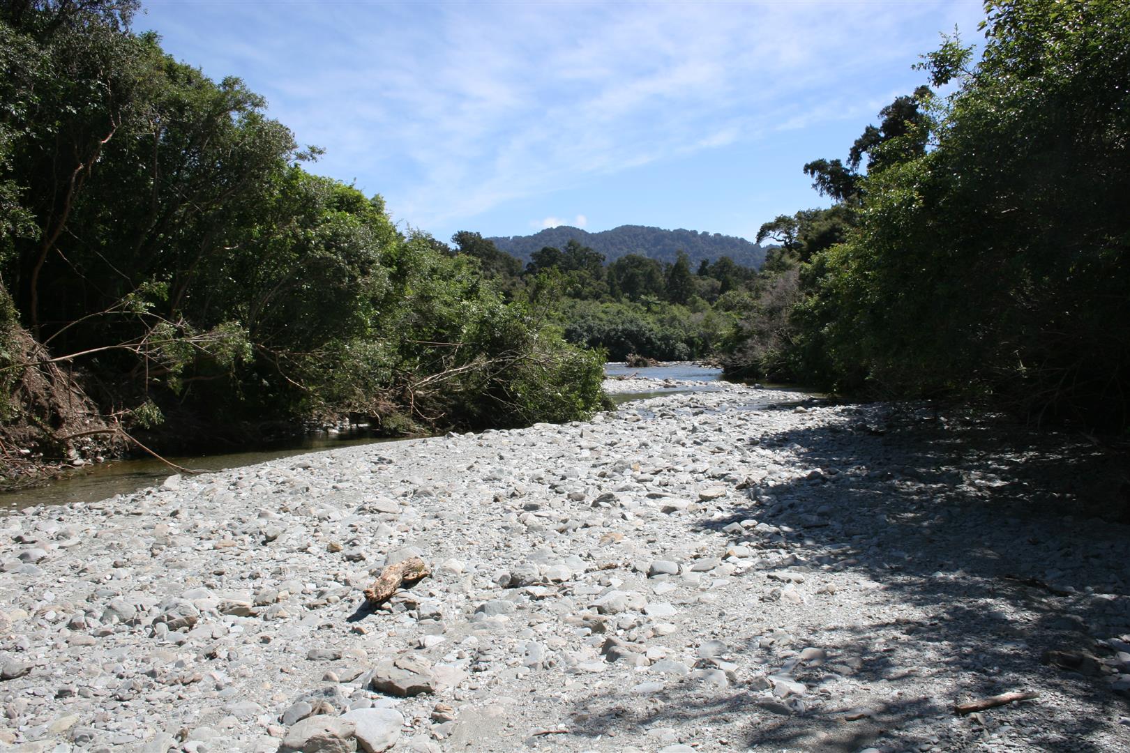 Beach near Lake Moeraki