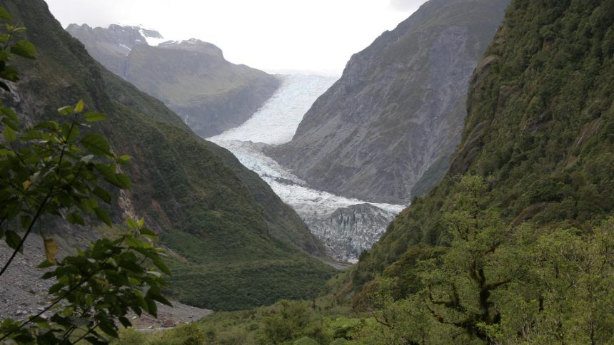 Fox Glacier