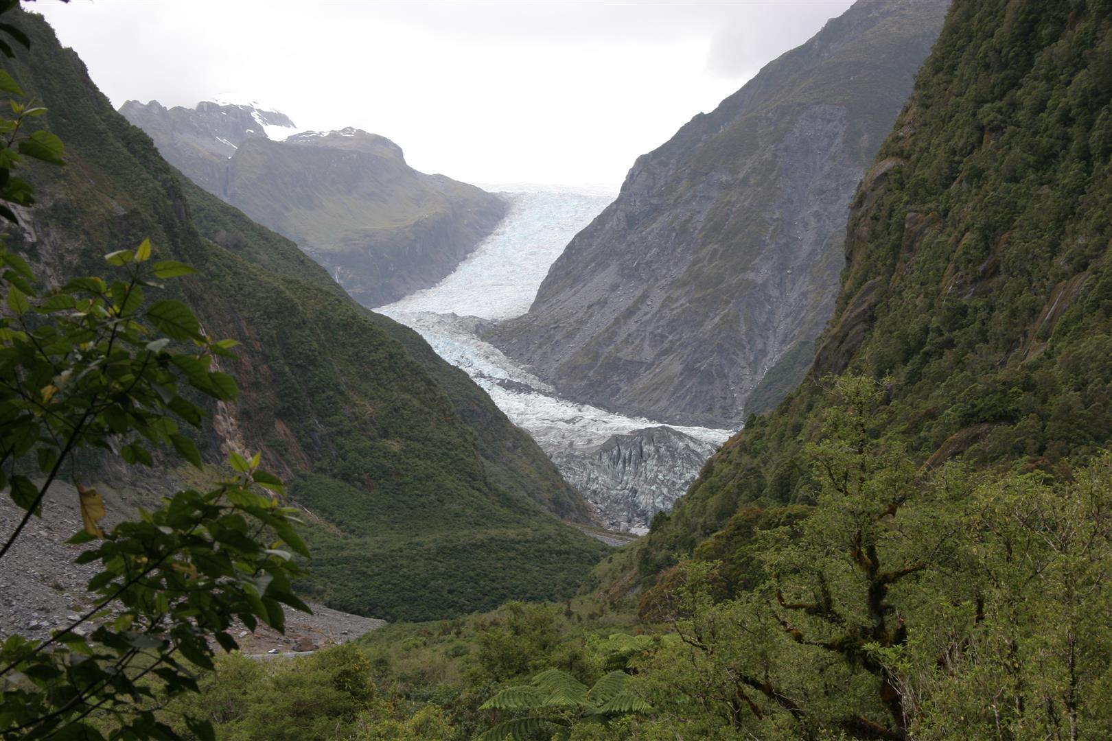 Fox Glacier