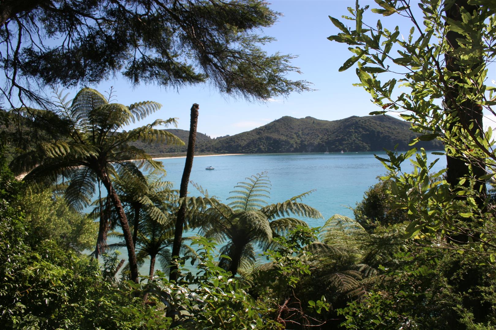 Abel Tasman Park