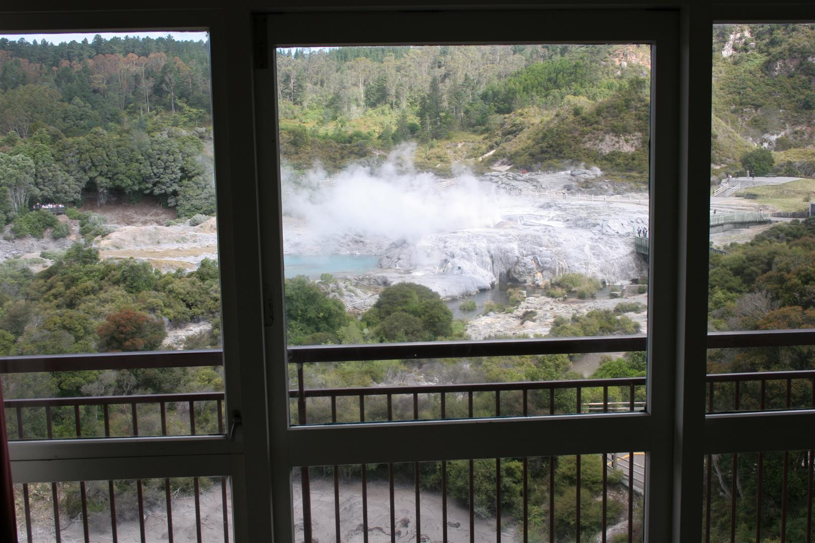 Whakarewarewa thermal park