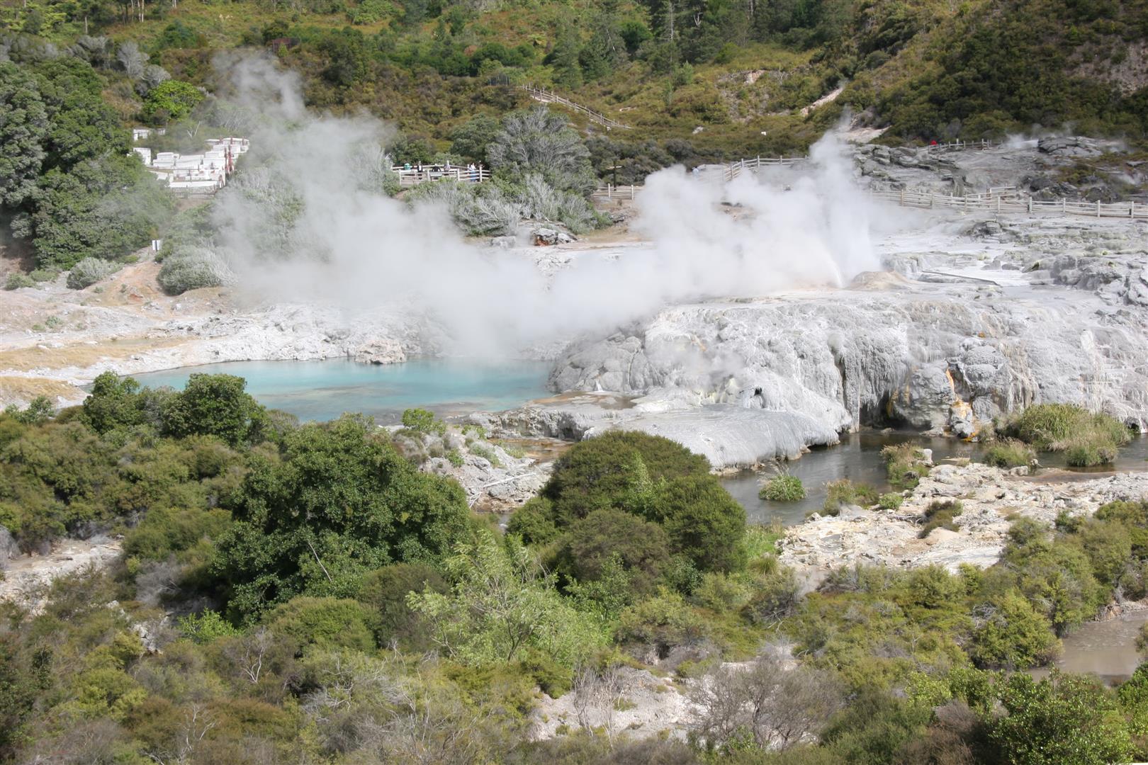 Whakarewarewa thermal park