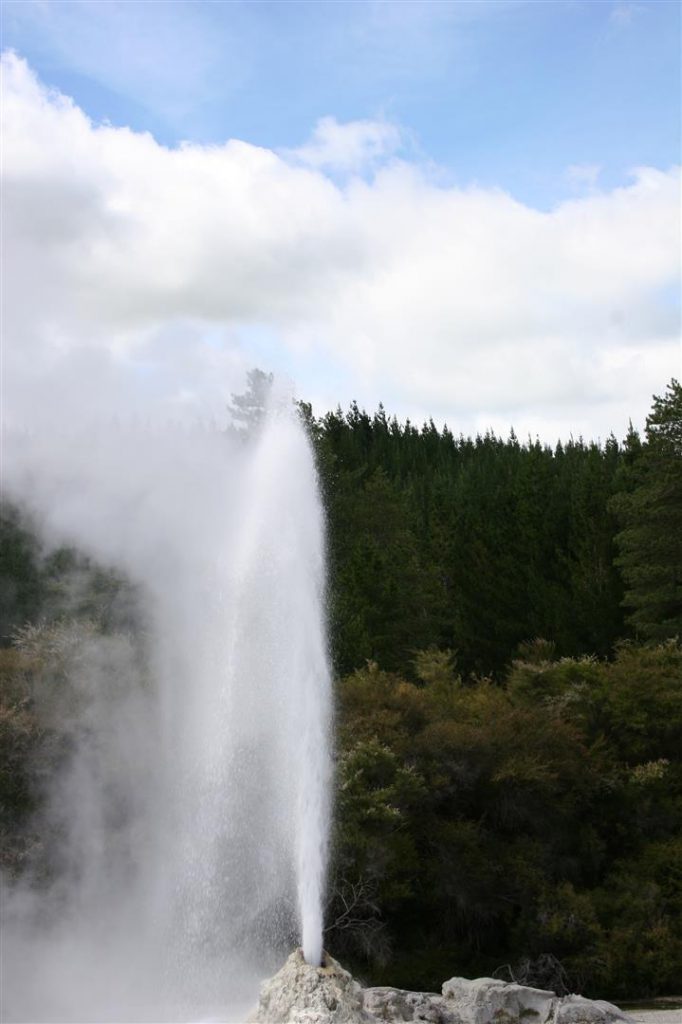 Wai-O-Tapu : Lady Knox