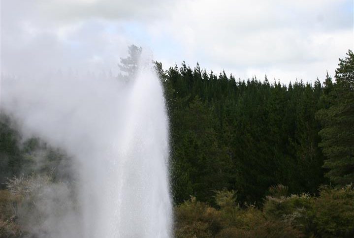 Wai-O-Tapu : Lady Knox