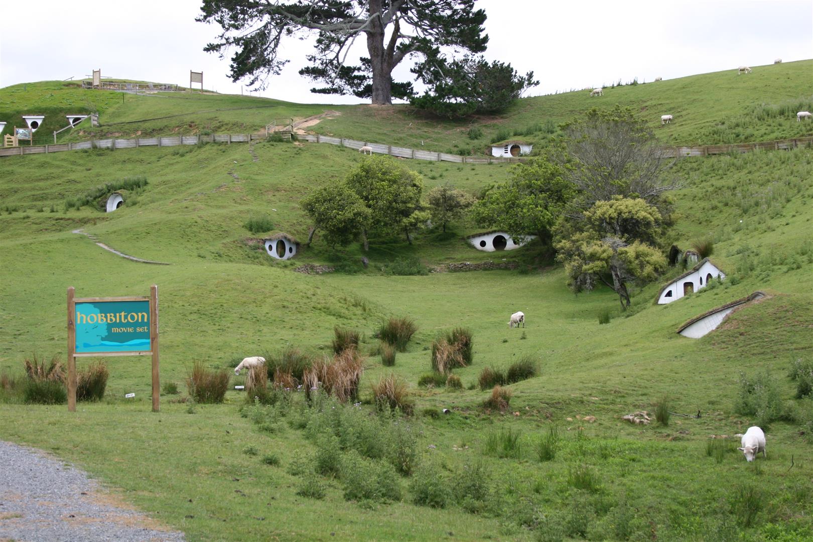 Hobbiton, MataMata