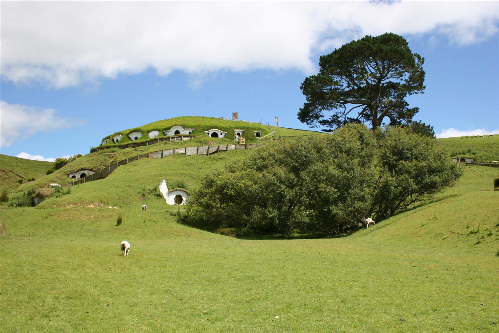 Hobbiton, MataMata