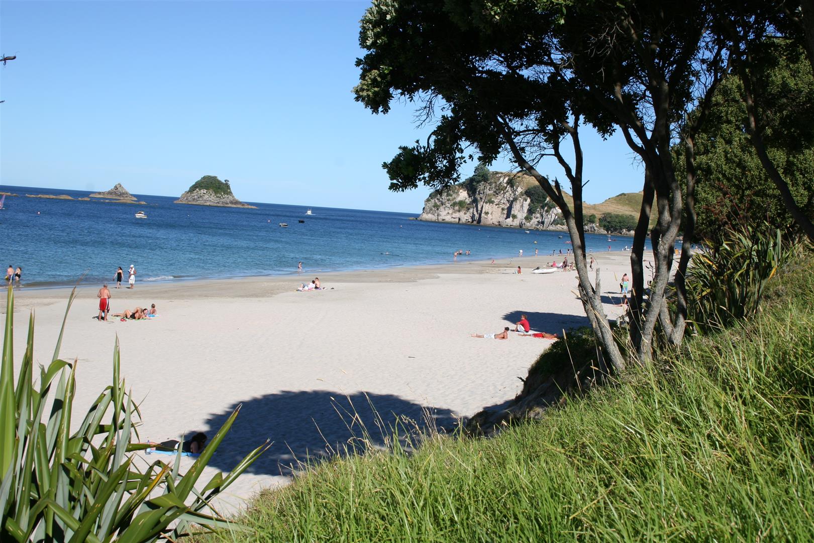 Hahei beach