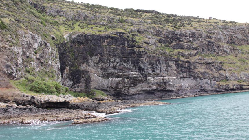 Akaroa coast