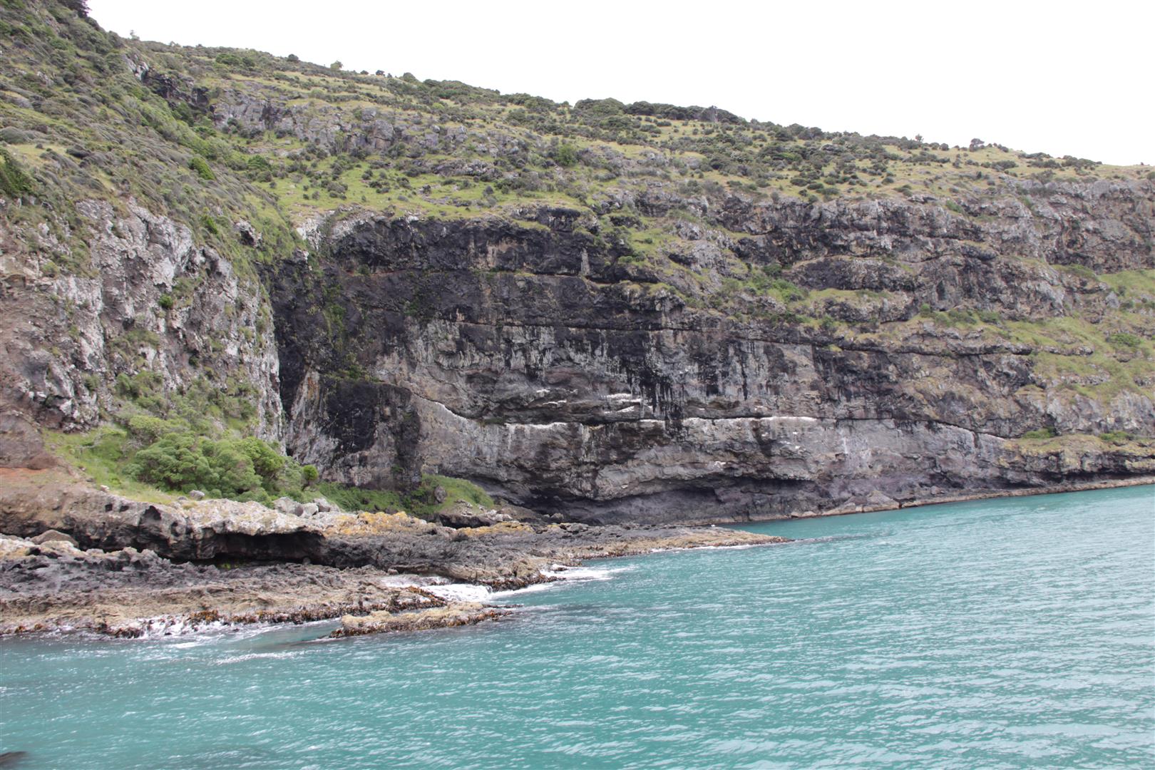 Akaroa coast