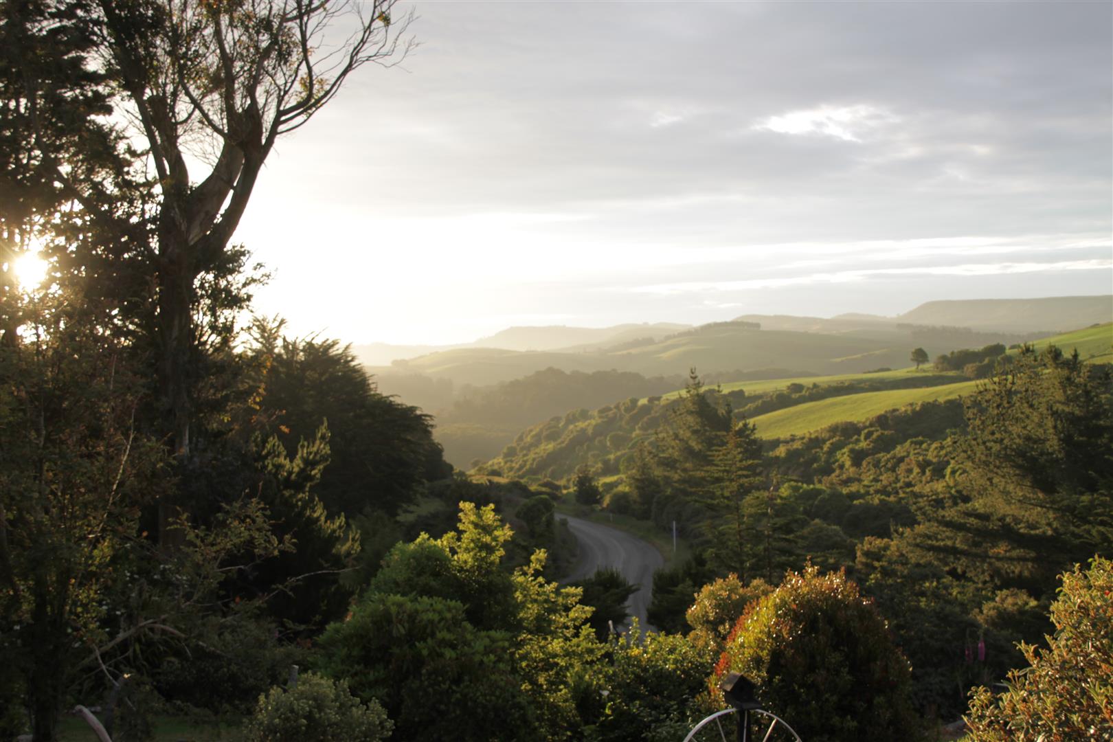 Evening in the Caitlins